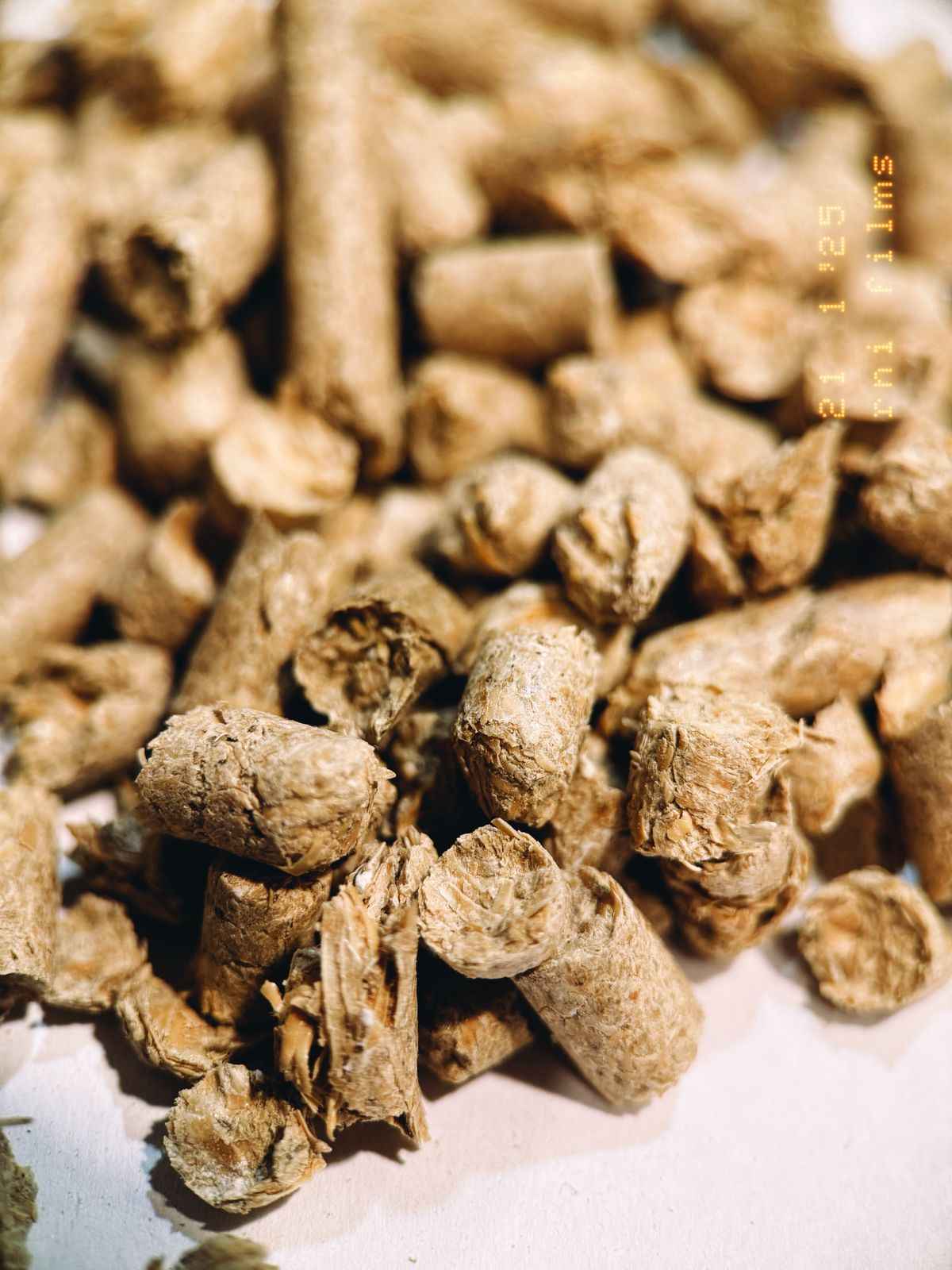 Żwirek owsiany dla kotów Dąbrówki - zdjęcie 1