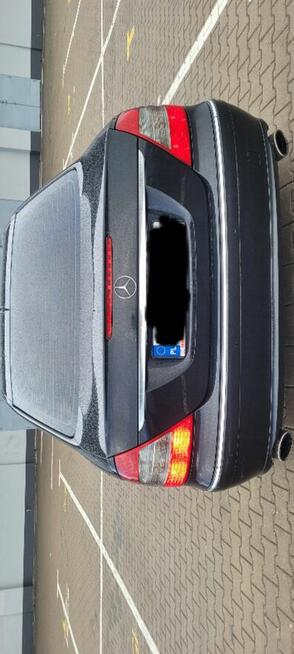 Mercedes E220 cdi Avangard Białystok - zdjęcie 4