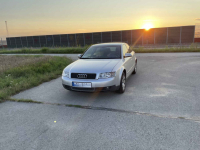 Audi A4 B6 2001 1.9 TDI Psie Pole - zdjęcie 1