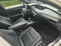 Lexus UX 250H Omotenashi /Mark Levinson Lublin - zdjęcie 12