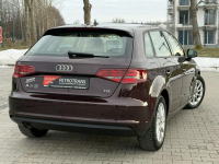 Audi A3 1.6 TDI /  105 KM Nawigacja Tempomat Czujniki Parkowania Mrągowo - zdjęcie 11