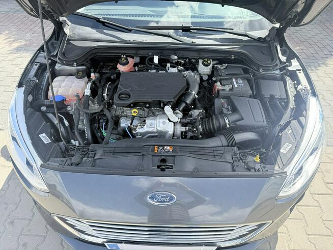 Ford Focus ecoblue Zielona Łąka - zdjęcie 10