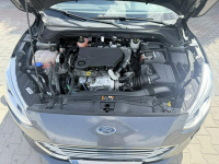 Ford Focus ecoblue Zielona Łąka - zdjęcie 10