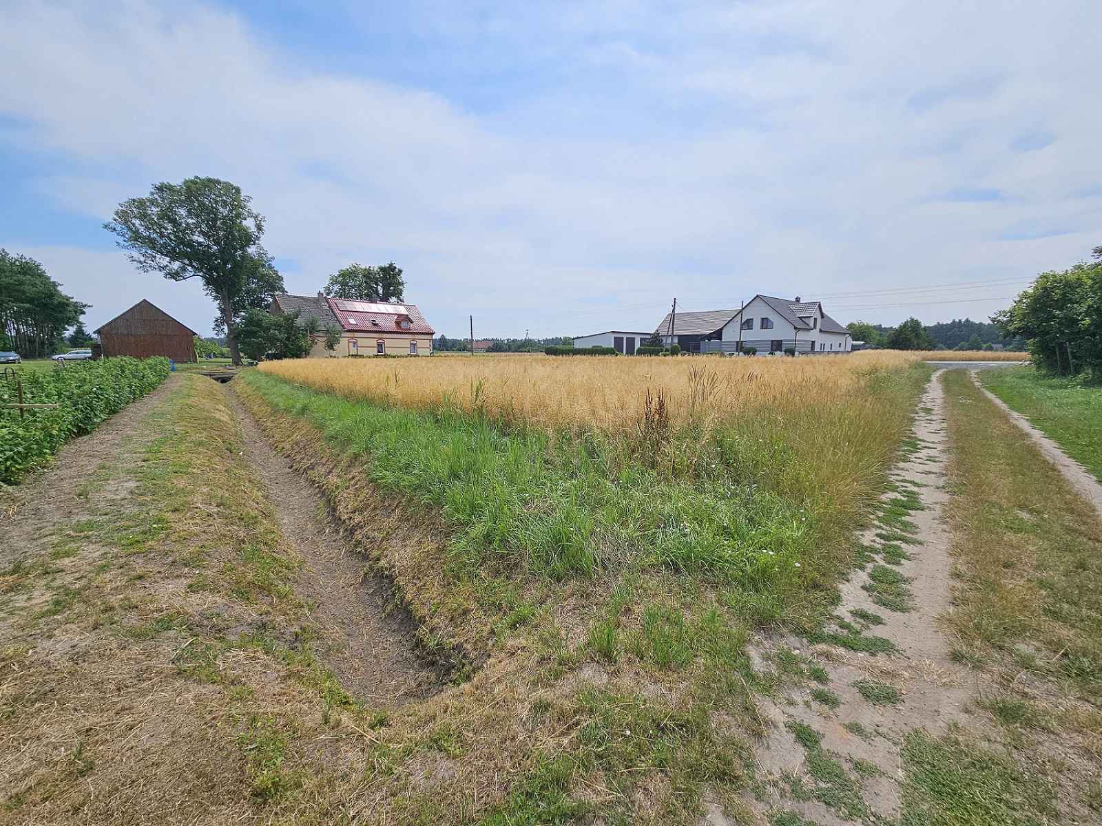 Działka Budowlana (2000 m2) MEDIA (Brzozowiec) Brzozowiec - zdjęcie 3