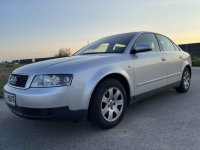 Audi A4 B6 2001 1.9 TDI Psie Pole - zdjęcie 2