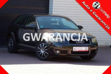 Audi A3 Klimatronic /BOSE /1,6 /mpi /102KM