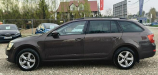 Škoda Octavia TDi*4x4*Niski przebiegm Bibice - zdjęcie 11