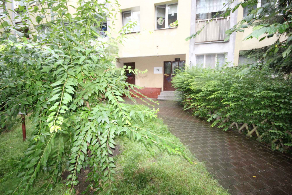 1pok, 25met, okolice Oławskiej PIWNICA (Wrocław) Stare Miasto - zdjęcie 11