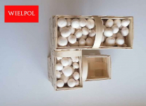 Opakowania do białych pieczarek / białej pieczarki Wielichowo - zdjęcie 6