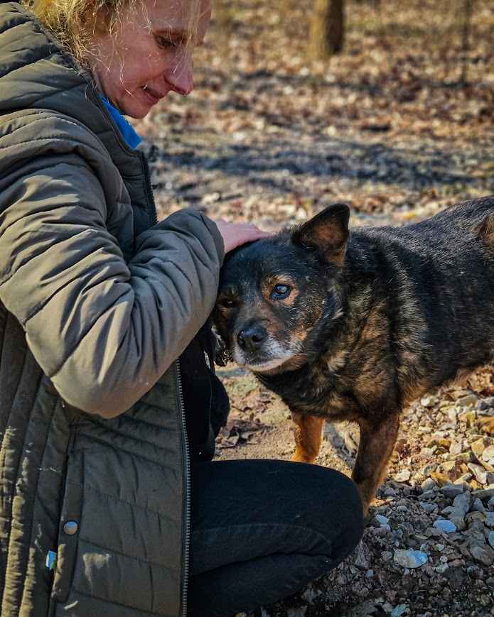 Spokojny, bardzo stateczny, przekochany psi senior DAFI :) Ochota - zdjęcie 7