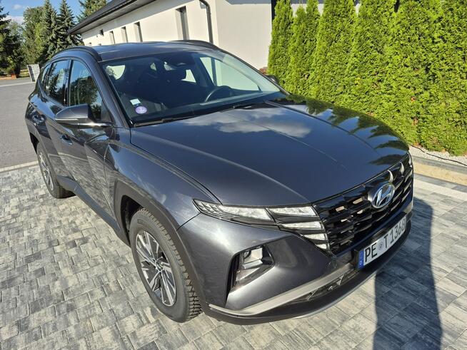 Hyundai Tucson kamera  navi 1.6 HYBRID Drelów - zdjęcie 9