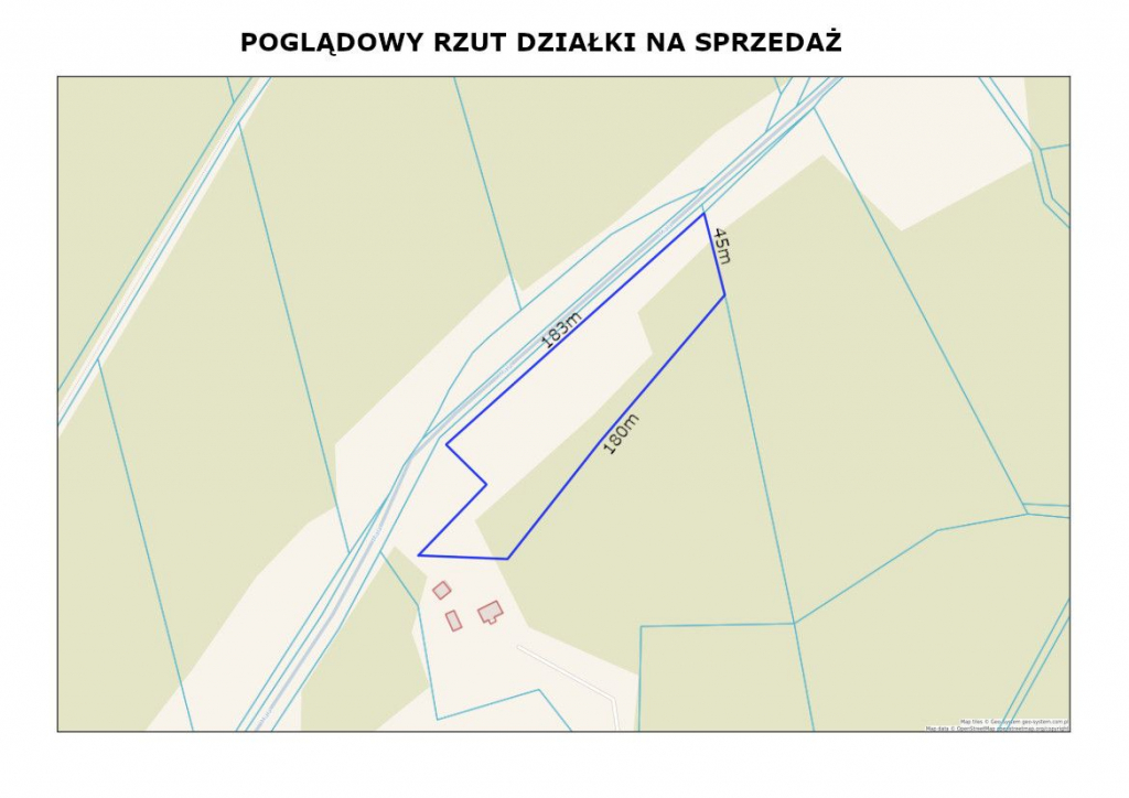 Rola w Puszczy Noteckiej. Marylin - zdjęcie 1