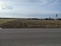 Sprzedam działkę o pow. 7722 m2 w Bronisławach Bronisławy - zdjęcie 2