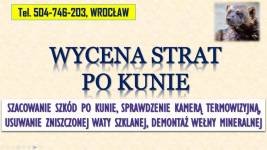 Szacowanie szkód po kunie, tel. 504-746-203, Wrocław. Wycena szkody, Psie Pole - zdjęcie 3