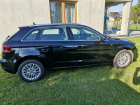 Audi A3 1.6 Tdi 110KM Sportback 133 tyś km Sieraków - zdjęcie 7