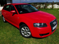 Audi a3 8p 1.6 MPI 102 KM LPG, Hak, 5 drzwi Pińczów - zdjęcie 6