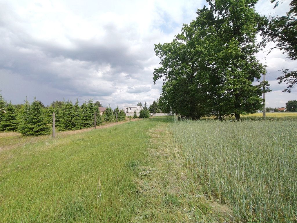 Działka z WZ blisko Nowego Tomyśla. Glinno - zdjęcie 10