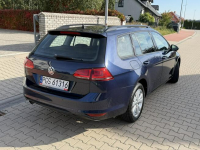 Volkswagen Golf Klimatronic 1.6 TDI Zarejestrowany Gostyń - zdjęcie 6