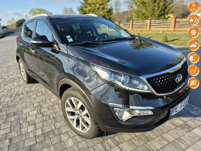 Kia Sportage kamera xenon navigacja skóra Import Francja bez korozji Drelów - zdjęcie 1
