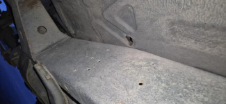 Sprzedam Perzyny - zdjęcie 4