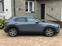 Mazda CX-30 Sadlno - zdjęcie 6