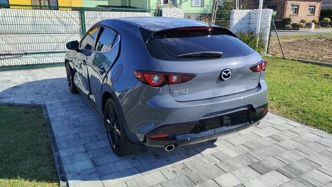 Carbon Version 2,5 benzyna automat 4x4 Turek - zdjęcie 2