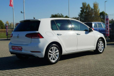 Volkswagen Golf 1.0 110 KM Zadbany po serwisie 1 właściciel Stan BDB Goczałkowice-Zdrój - zdjęcie 10