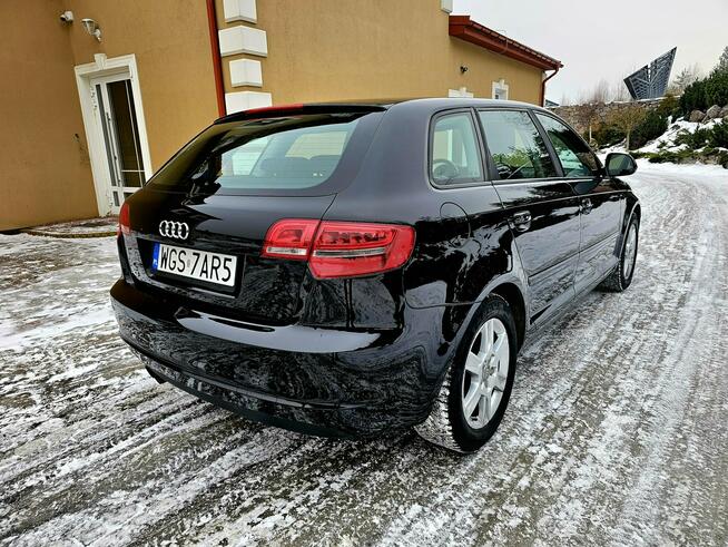 Audi A3 Lift 1.9 TDI DSG 5 Drzwi Serwis Zagnańsk - zdjęcie 4