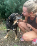 Borys - psia przylepa, kochany, zrównoważony! Gdańsk - zdjęcie 5