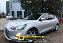 Ford Focus Telefon: 790_450_394 Lokalizacja: Buk Buk - zdjęcie 3