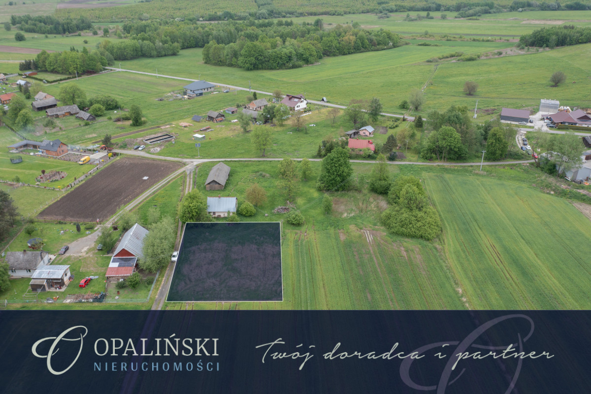 Cisza | Spokój | Las | Budowlana Czerce - zdjęcie 1