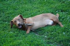 Kuba - wulkan energi szukający swojego miejsca na ziemi Łętkowice - zdjęcie 2