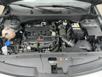 Kia Sportage Salon PL_Kamera Klimatronik Gliwice - zdjęcie 4