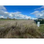 DUŻA OGRODZONA DZIAŁKA Z PNB Drążdżewo - zdjęcie 4