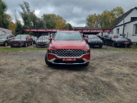 Hyundai Santa Fe Salon PL I WŁ - PLATINIUM - Faktura Vat Szczecin - zdjęcie 8