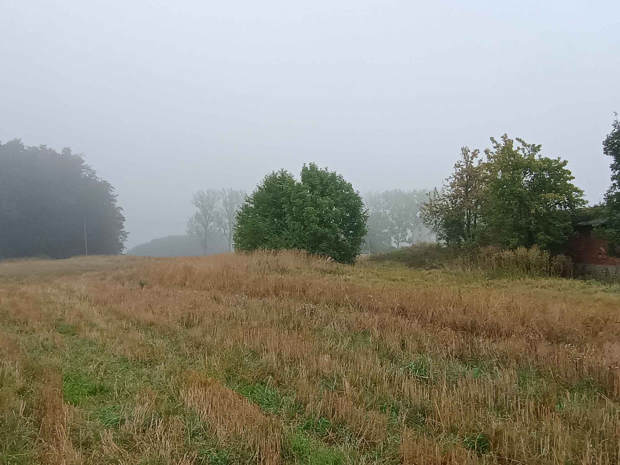 Spszedam Gospodarstfo Koszalin - zdjęcie 1