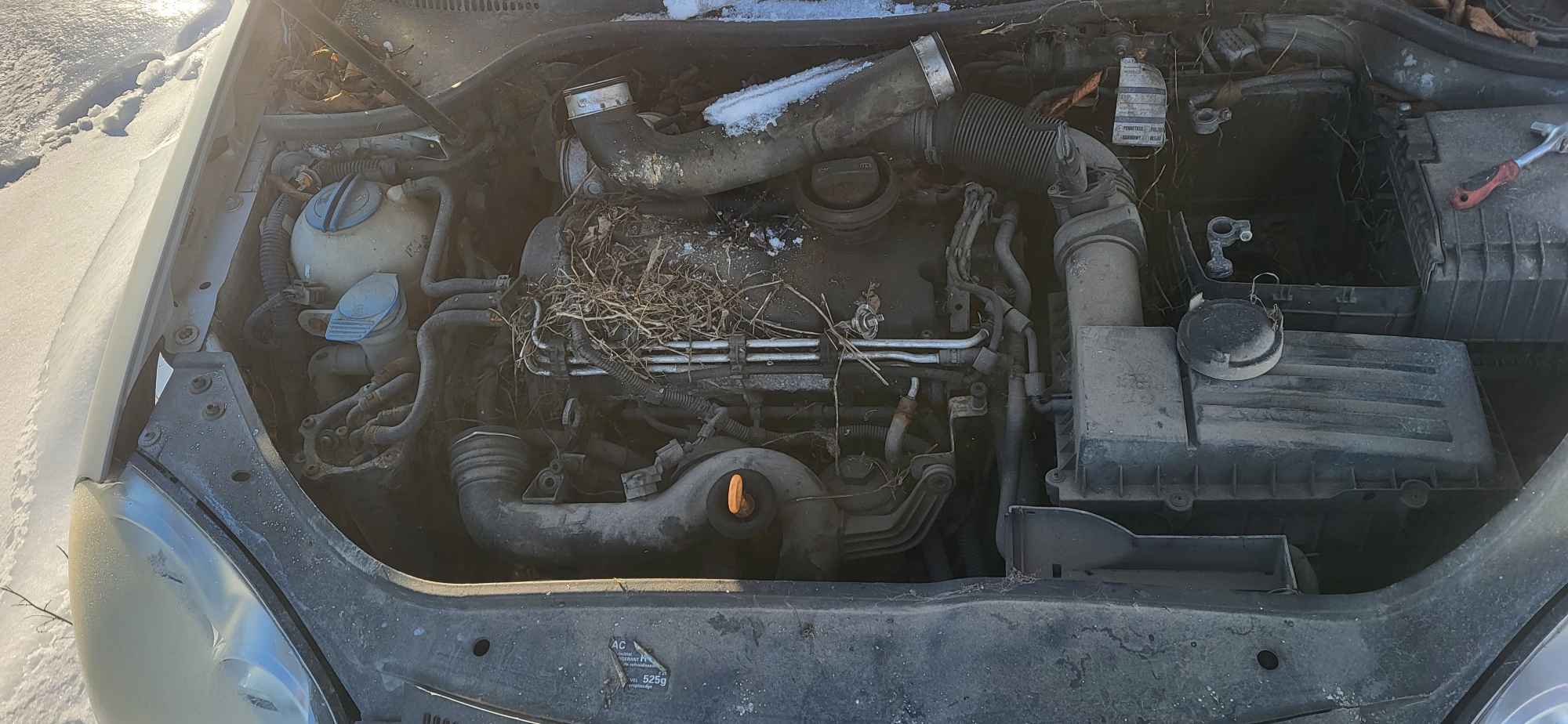 Syndyk sprzeda samochód osobowy Volkswagen Golf 2004 Ochota - zdjęcie 4