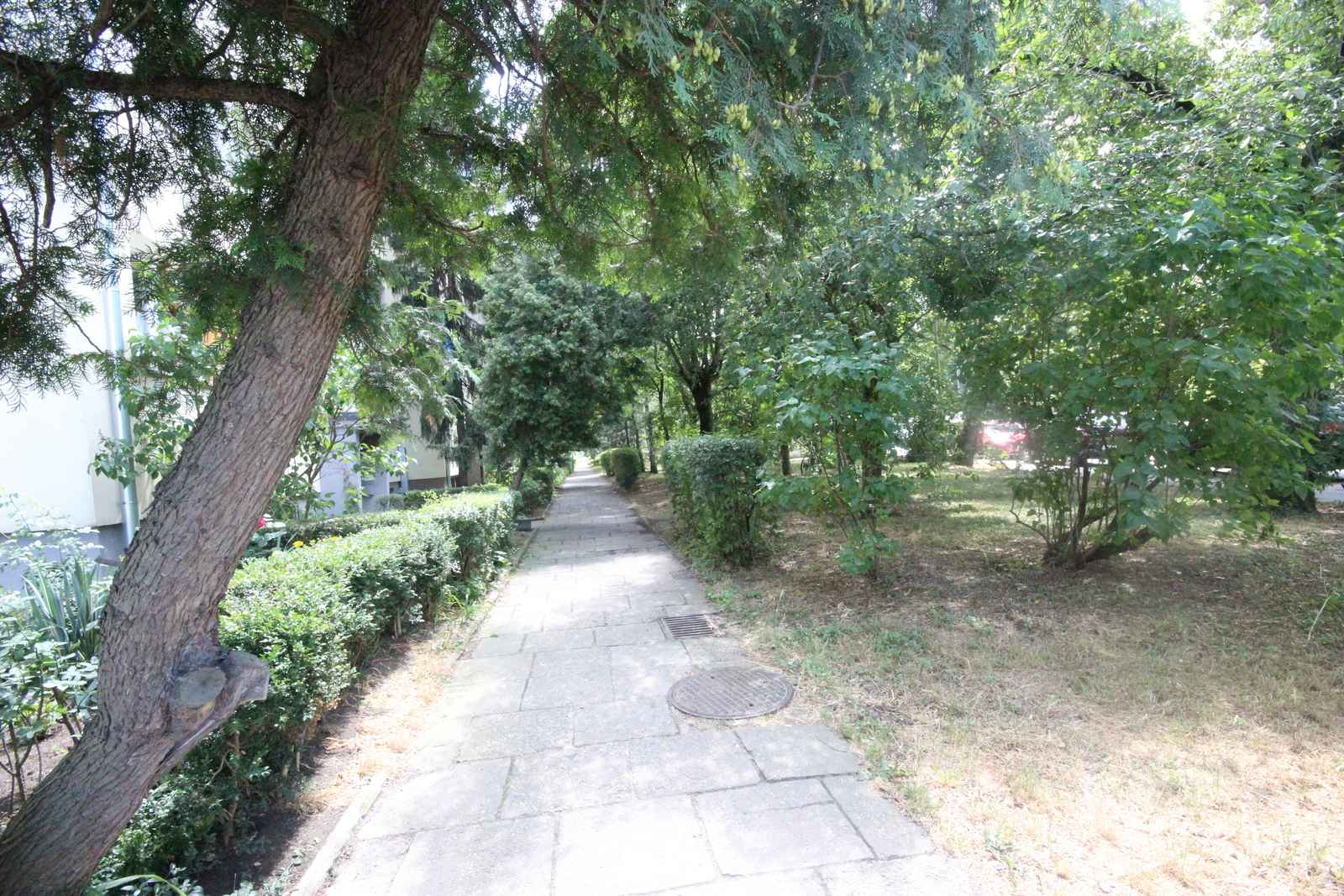 Pokój (15 met) okolice Chojnowskiej (Wrocław) Stare Miasto - zdjęcie 12