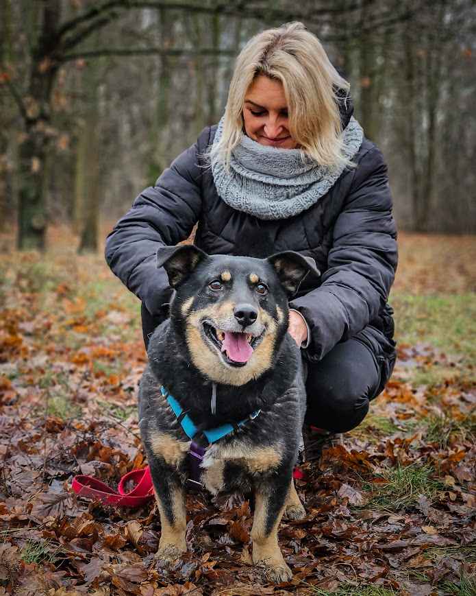 Stateczny, proludzki, bardzo kochany MADISON pilnie szuka domu! Rembertów - zdjęcie 4