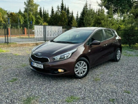 Kia Ceed 1.4 benzyna, piękny kolor, stan wzorowy. Gołków - zdjęcie 4