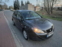 Seat Ibiza 2009 igla