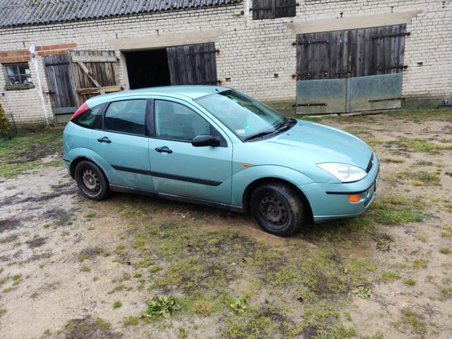 Ford focus Łąkorz - zdjęcie 2