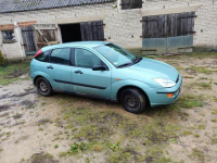 Ford focus Łąkorz - zdjęcie 2