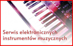 Serwis elektronicznych instrumentów muzycznych Polesie - zdjęcie 1