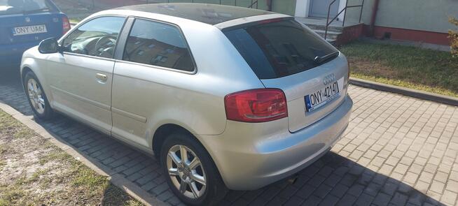 Audi A3 8P 1.6 TDI 2010 Nysa - zdjęcie 4