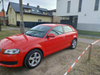 Ładne Audi A3 Psie Pole - zdjęcie 3
