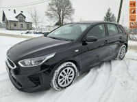 Kia Cee'd Polski salon, bezwypadkowy, gwarancja do 2028 roku