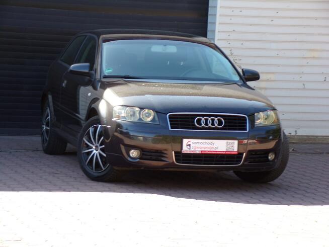 Audi A3 Klimatronic /BOSE /1,6 /mpi /102KM Mikołów - zdjęcie 2