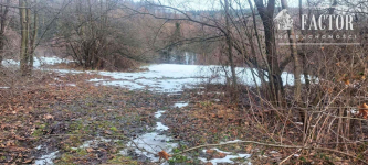 Wyjątkowa działka budowlana 92 a –Siary, gm. Sękowa 1177S/2026 Siary - zdjęcie 3