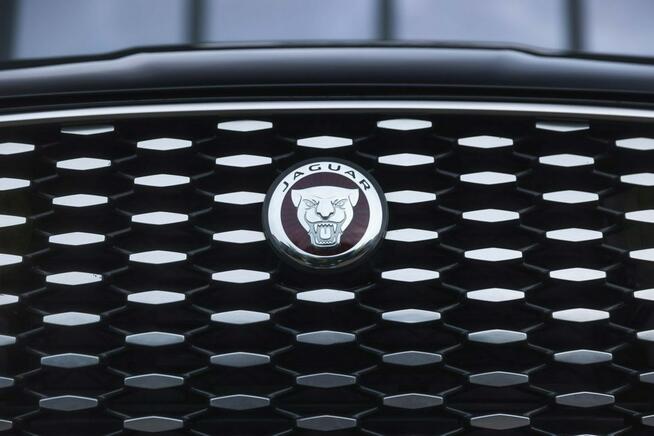 Jaguar F-PACE 2.0 250Km SE-Salon PL, I wł, JLR-MARVEL Łódź - zdjęcie 12